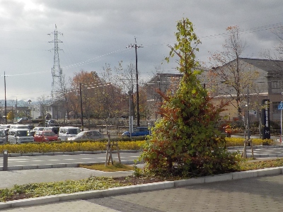 japan 島根県出雲市西林木町207-1 出雲市総合体育館 サブアリーナで山陰いいものマルシェがありました。