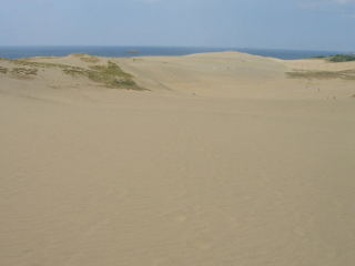 japan 鳥取県鳥取市福部町湯山 鳥取砂丘付近は渋滞でした。