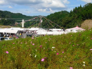 第19回東三瓶コスモス祭り