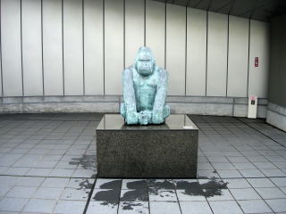 島根県立美術館のゴリラがいる屋上