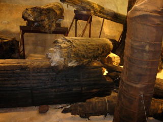 japan 島根県大田市三瓶町多根ロ58-2 三瓶小豆原埋没林もお客さんが多かったです。