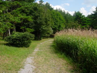 japan 島根県大田市三瓶町多根1121-8 サヒメルで夏の企画展「とびだせ!どうぶつ図鑑」がやっていました。