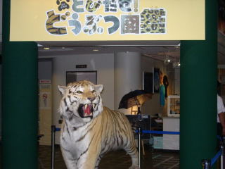 japan 島根県大田市三瓶町多根1121-8 サヒメルで夏の企画展「とびだせ!どうぶつ図鑑」がやっていました。