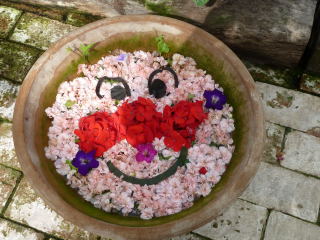 jaf 松江フォーゲルパーク