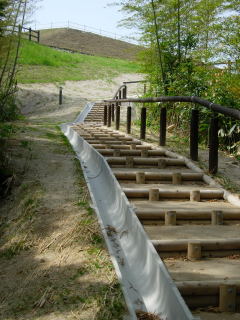 出雲弥生の森博物館