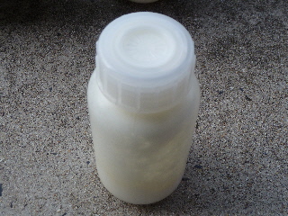 japan 島根県出雲市古志町3775 畜産ふれあいまつり2011がありました。 10月