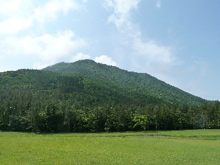 japan 島根県大田市三瓶町多根 姫逃池では水連が見頃でした。