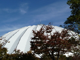 出雲産業フェアで紅葉