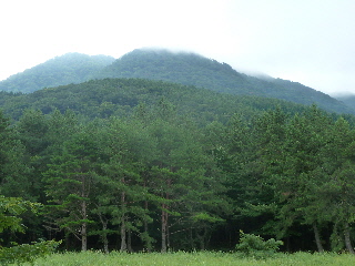 japan 島根県大田市三瓶町多根1121-8 サヒメルに遊びに行きました。