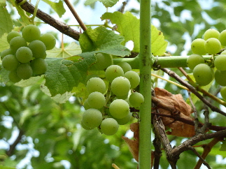 アクアス隣の遊具がある公園