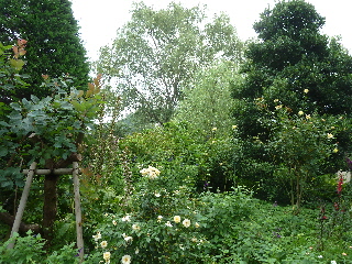 japan 島根県松江市西浜佐陀町330-1 松江イングリッシュガーデン