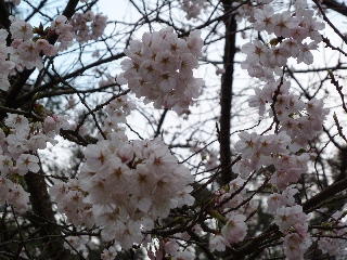 �o�_��Ђ̍�