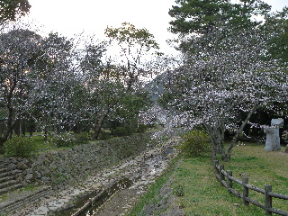 �o�_��Ђ̍��Ɛ�