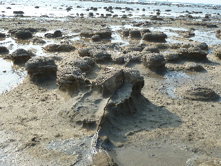 japan 島根県浜田市国分町 畳ヶ浦を観光しました。