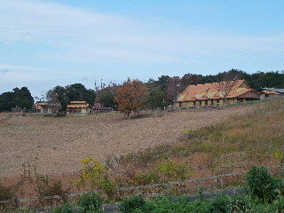 出雲いりすの丘でのシクラメンまつり