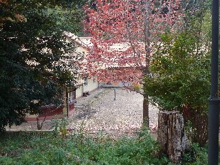 出雲いりすの丘でのシクラメンまつり