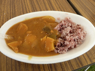 加茂岩倉遺跡のイベント