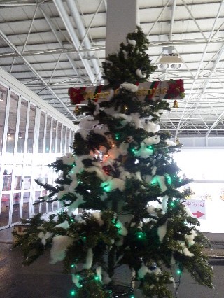 japan 島根県出雲市園町1660番地1 湖遊館でスケートをしました。