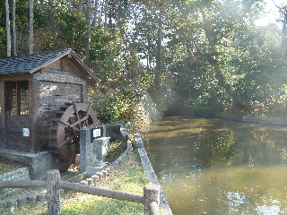 japan 島根県出雲市大津町上来原 来原岩樋公園の景色