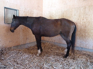 �_��̃T���u���b�g