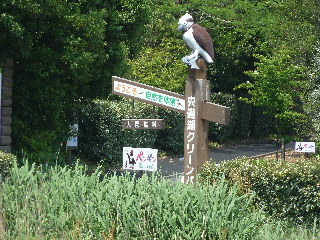 宍道湖グリーンパークのペンギンミュージアムを見ました。島根県出雲市園町1664-2