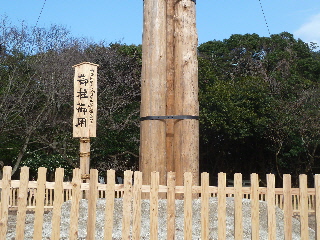 出雲大社の御柱レプリカ