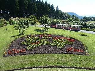 japan 鳥取県西伯郡南部町鶴田110 花回廊に初めて行きました。