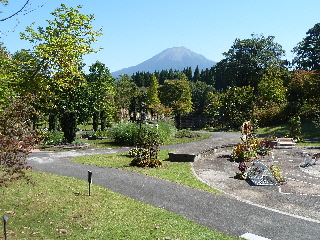 japan 鳥取県西伯郡南部町鶴田110 花回廊に初めて行きました。