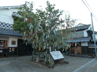 夕暮れの木綿街道