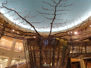 japan 鳥取県倉吉市駄経寺町198-4 なしっこ館で遊びました。