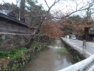 紅葉の出雲大社
