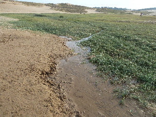 japan 鳥取県鳥取市福部町湯山 鳥取砂丘は疲れる。