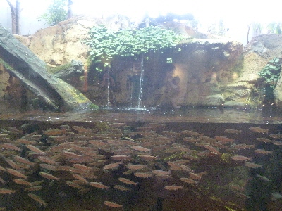 島根県立宍道湖自然観ゴビウス