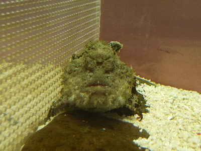 島根県立宍道湖自然観ゴビウス