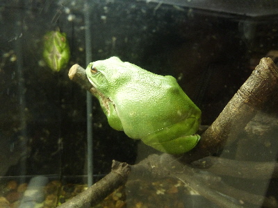 島根県立宍道湖自然観ゴビウス