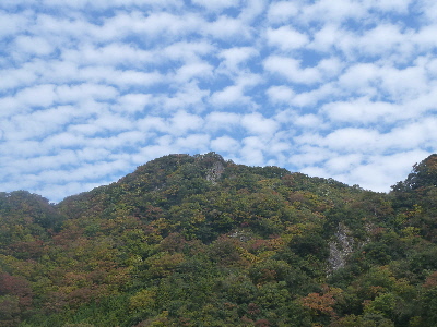 japan 島根県出雲市佐田町反辺1747-6 天気が良かったので、お昼を食べに佐田町のイベント「スサノオごっとこいまつり」に行きました。 11月