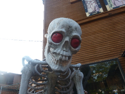 japan 鳥取市境港市 水木しげるロードは妖怪だらけですね。