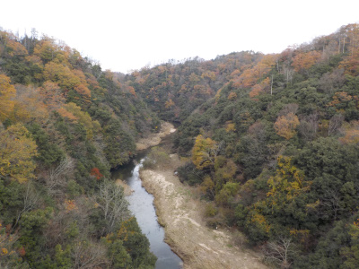鬼の舌振 吊り橋
