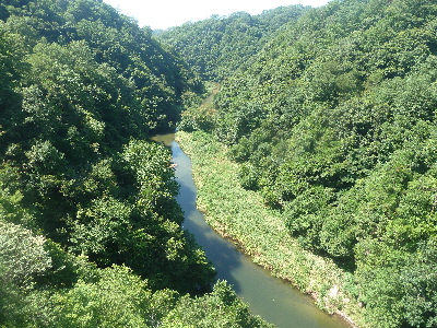 鬼の舌振 いきなり絶景