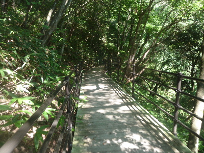 鬼の舌振はバリアフリーもあり