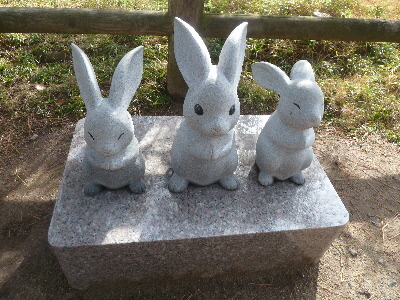 ポケモンGO禁止の代わり