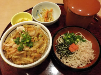 玉峰山荘 かき揚げ丼 蕎麦