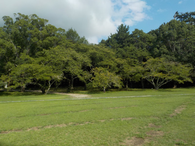 今日はいい天気
