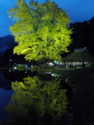 japan 島根県仁多郡奥出雲町大馬木1060 トワイライトの金言寺