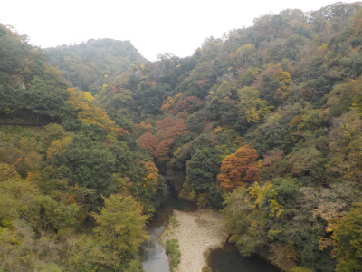 鬼の舌震 橋からの眺め