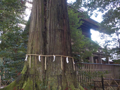 japan 島根県出雲市佐田町須佐730 初詣は須佐神社に行きました。
