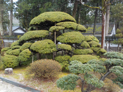 絲原家の素晴らしい庭園