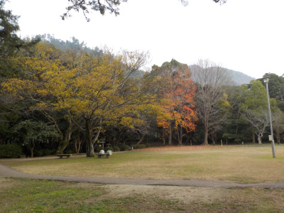 紅葉残る出雲大社