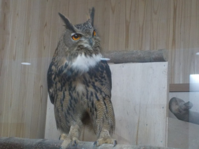 松江フォーゲルパーク