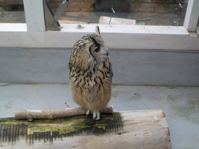 松江フォーゲルパーク